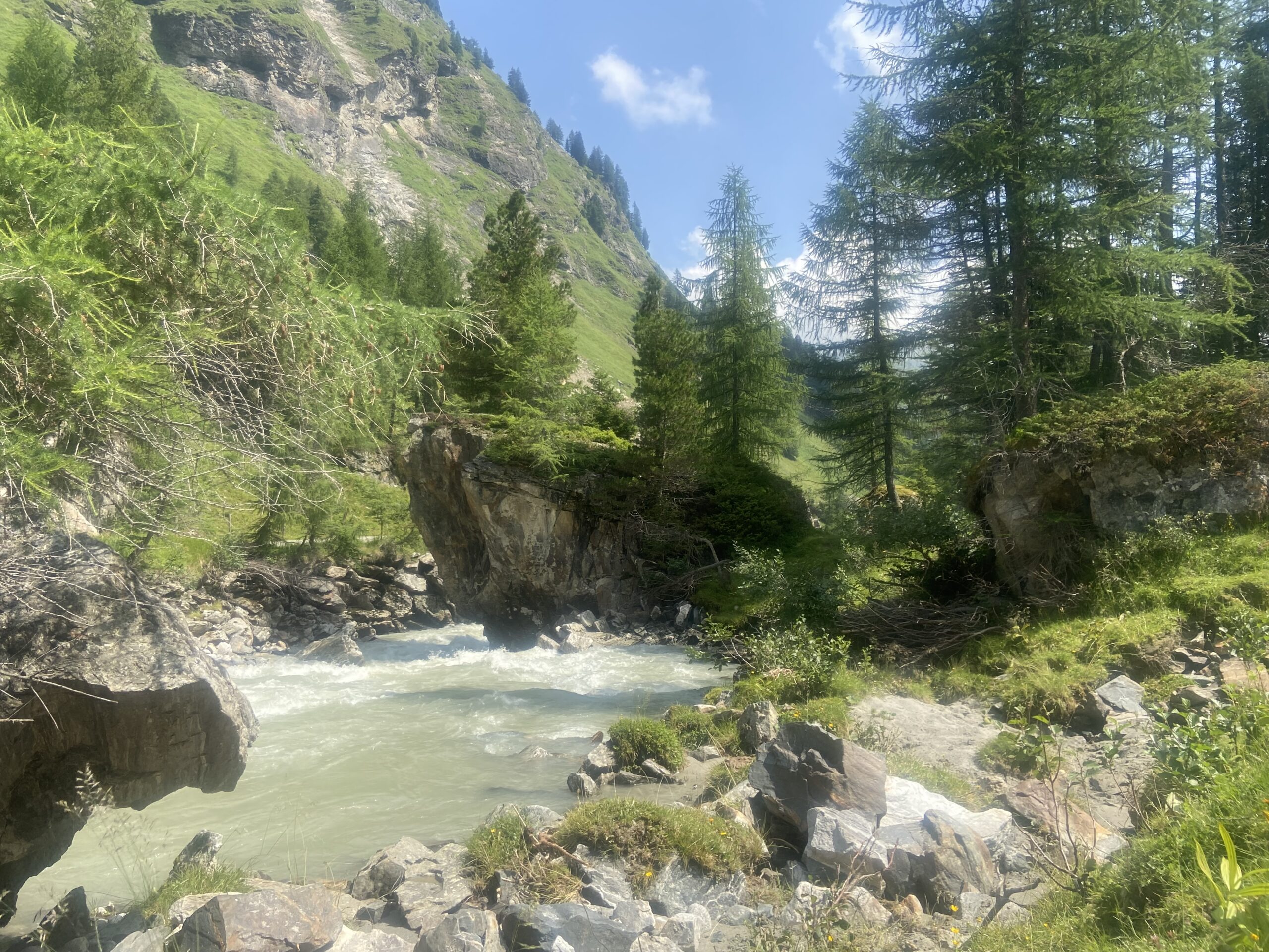 In der Natur sein