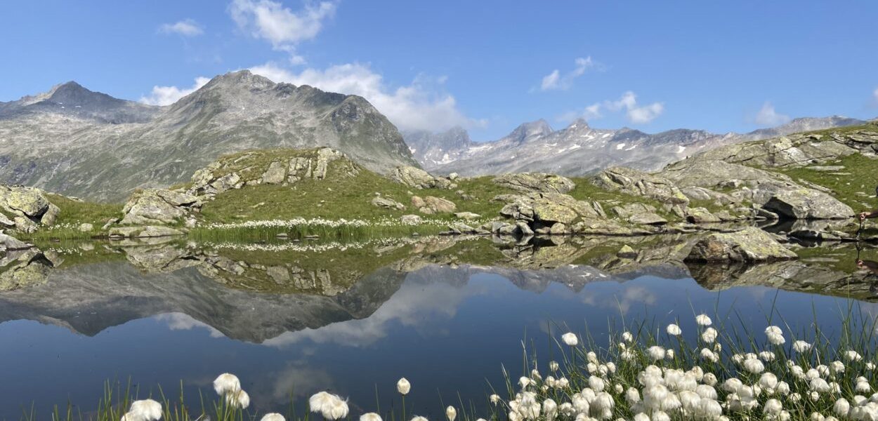 Tiroler Berge